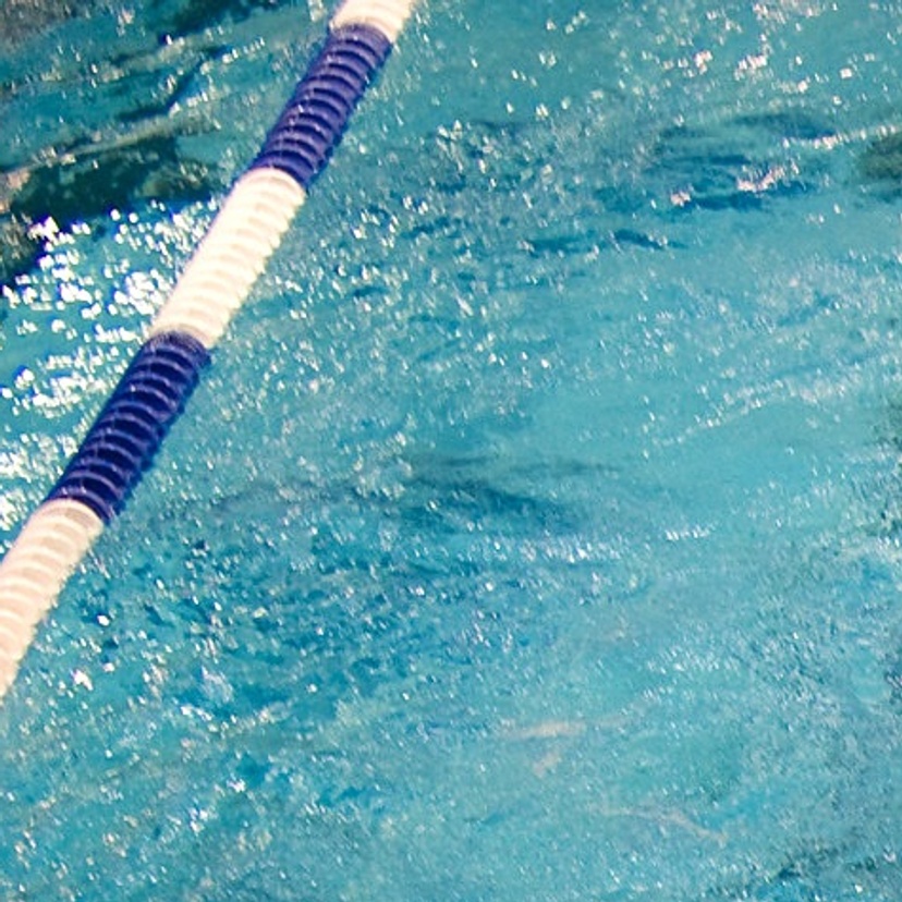 Olympic swimming pool with 4 swimmers in lanes