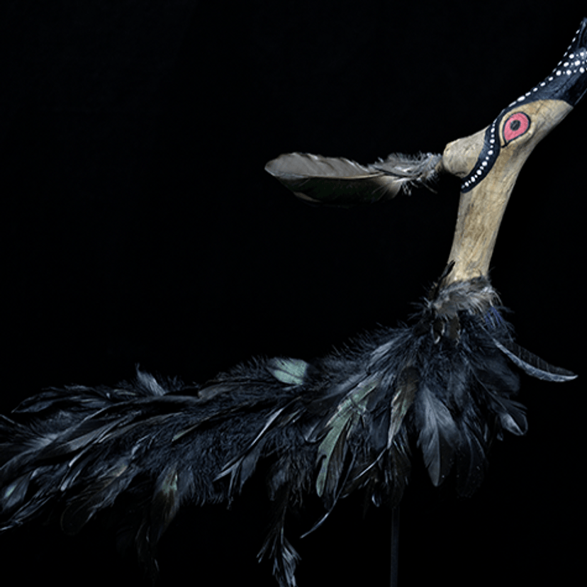 Artwork made of driftwood and feathers depicting a black duck