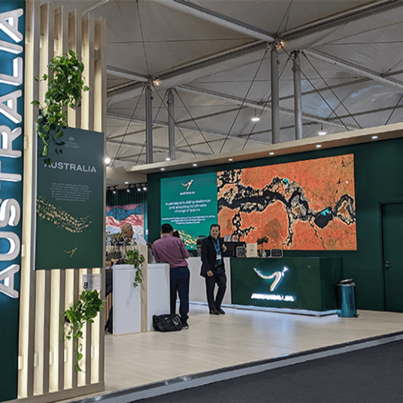 Film on display at COP27