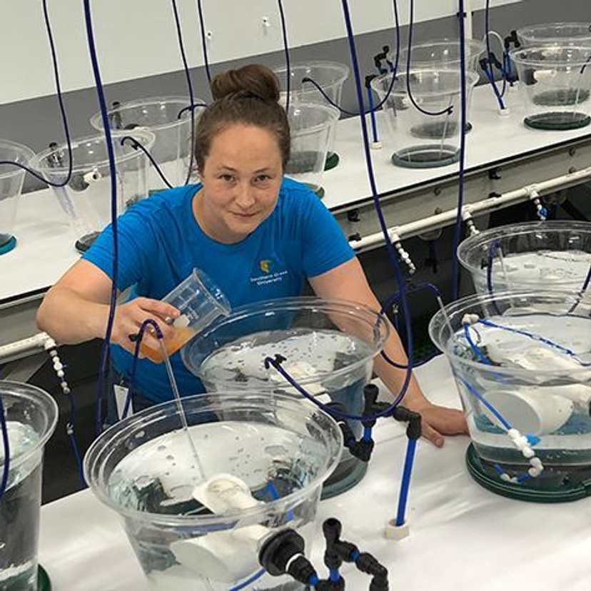 Colleen Rodd with food reared coral larvae experiment
