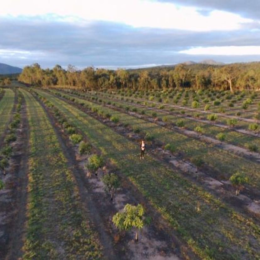 Southern Cross student Dayna Scapin takes a selfie with a drone
