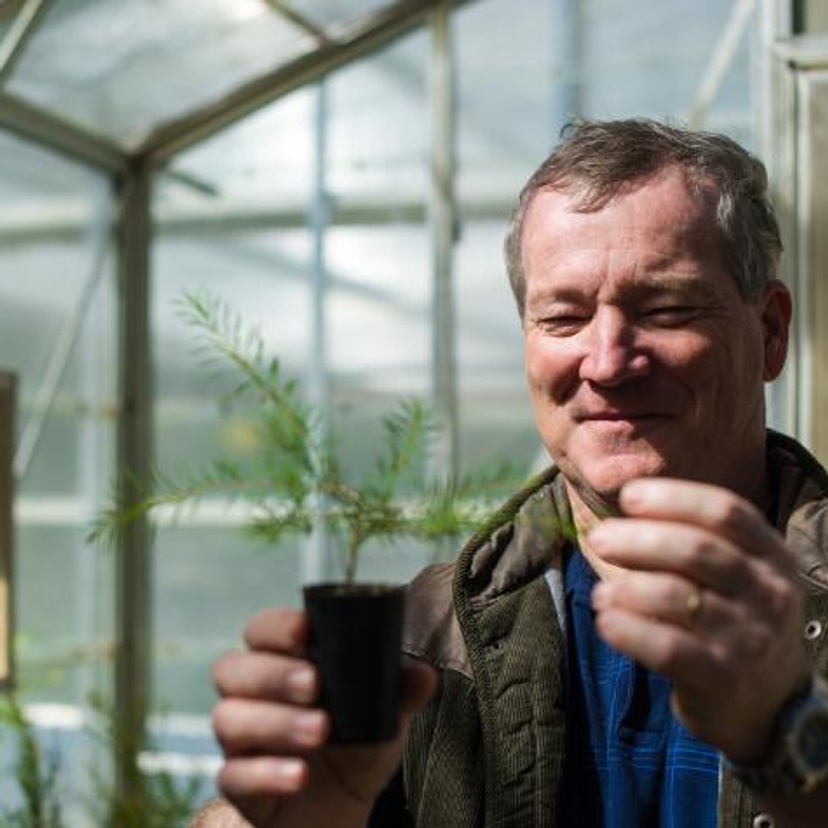 Dr Mervyn Shepherd with tea tree sapling