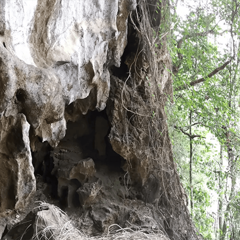 Ngu Hao 2 cave_credit University of Copenhagen