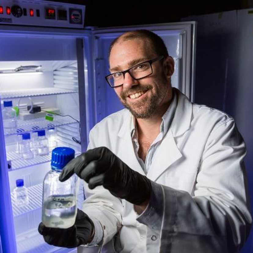 Professor Andrew Rose in laboratory