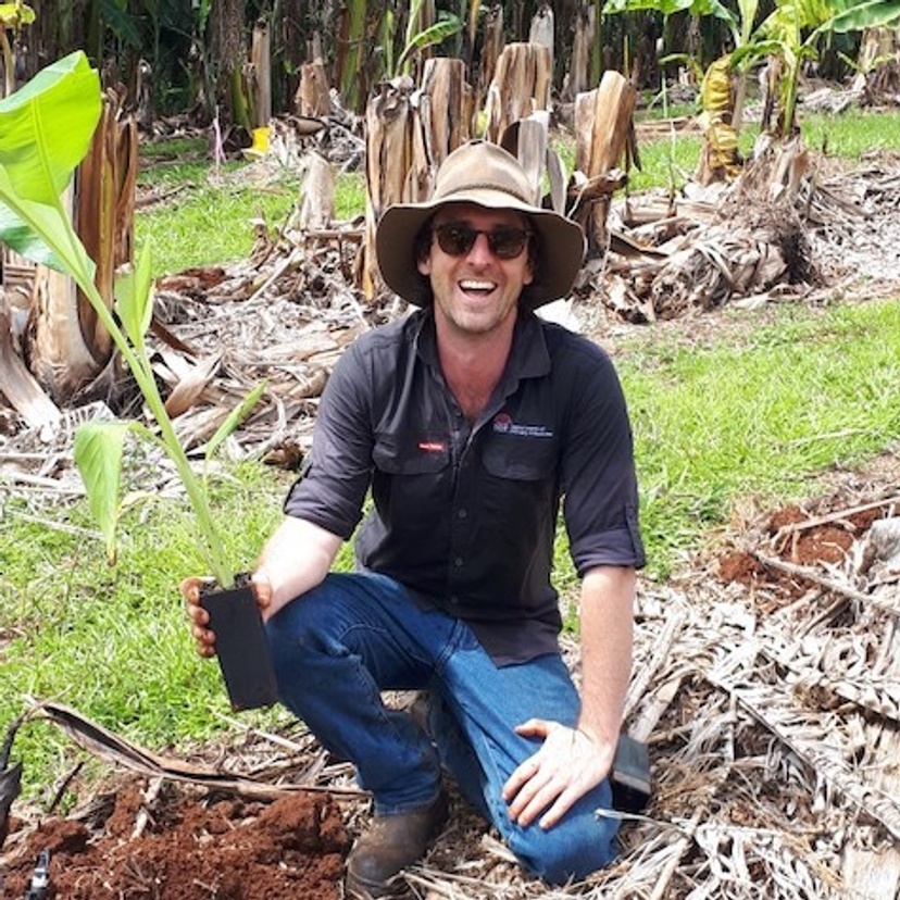 Man in a banana plantation