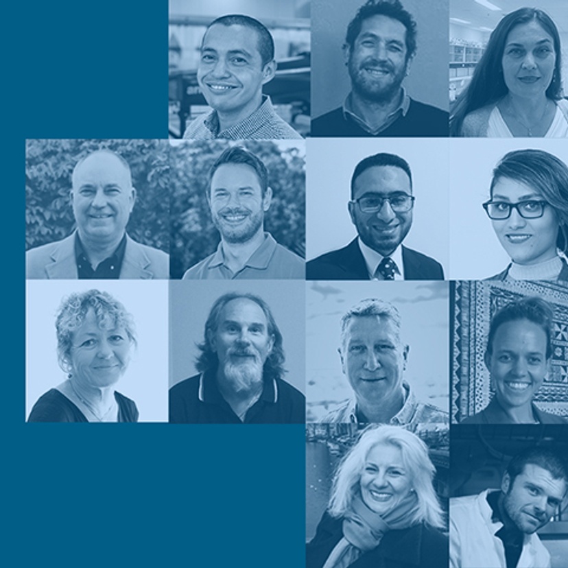 Academic excellence banner