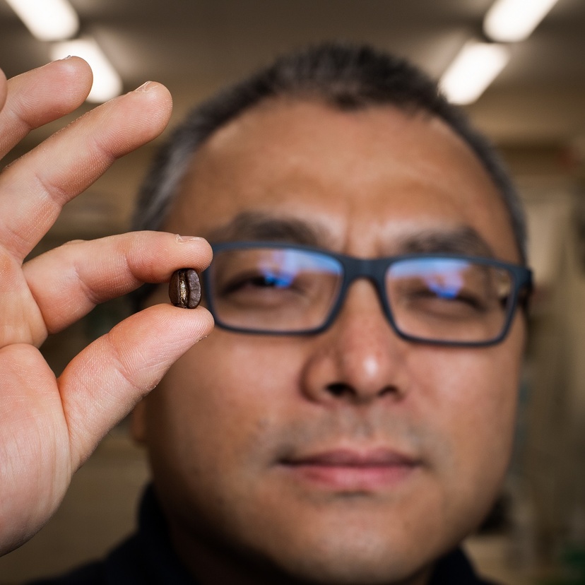A man holding a coffee bean in front of the camera