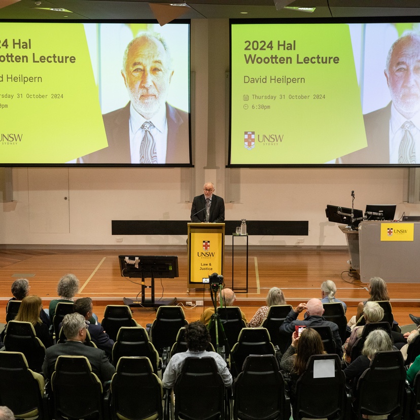 Professor David Heilpern delivers Hal Wootton lecture at UNSW