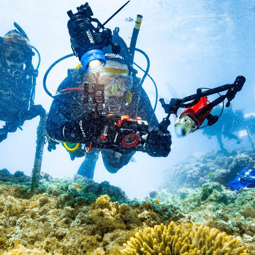 Marine scientist diving underwater with coral