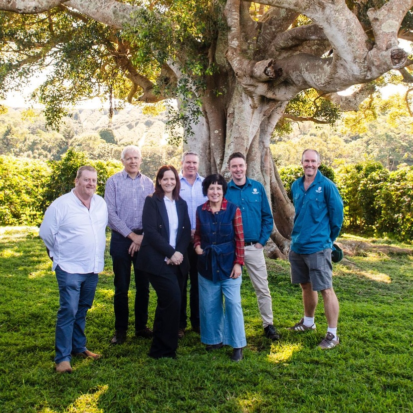 A group of people stand underneath a large tree