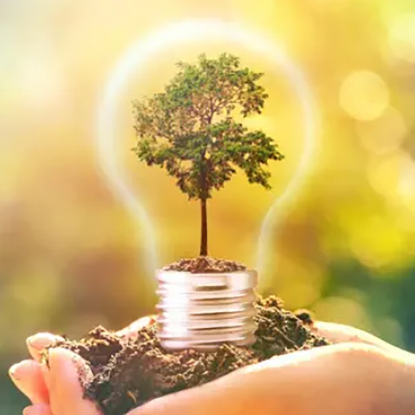 A hand holding a tree encased in a light globe atop a small handful of soil