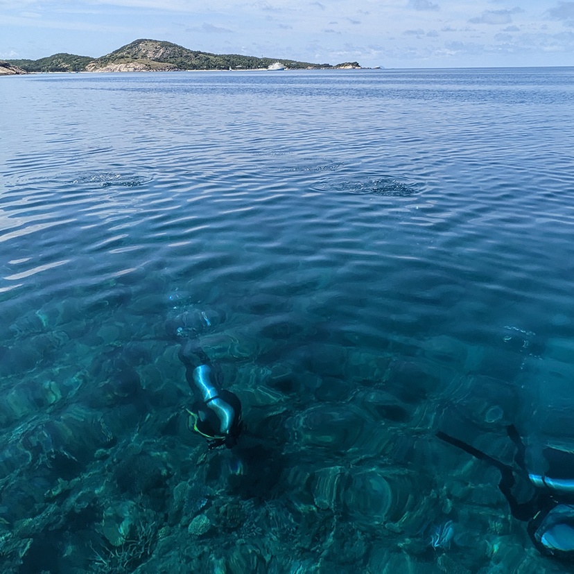 Divers set up macrophotogrammetry Lizard Island 2022_credit L Hardiman CSIRO