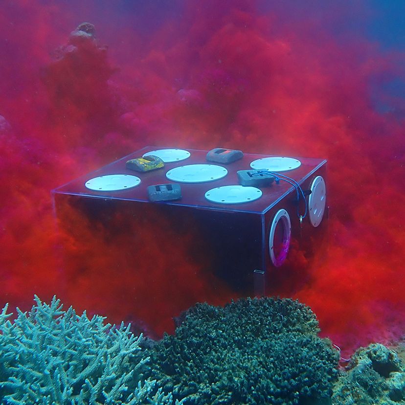 A clear box releasing a red dye, placed on the ocean floor surrounded by coral reef