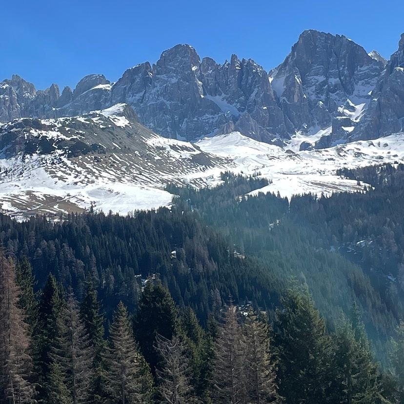 A mountain range, snow and trees against a blue sky