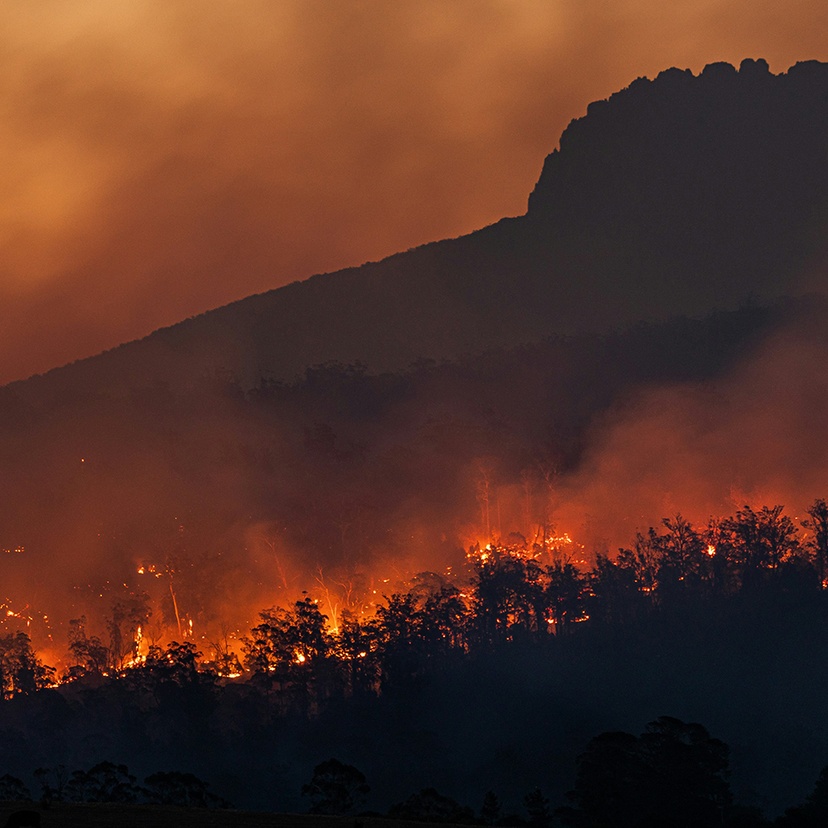 Bush fire