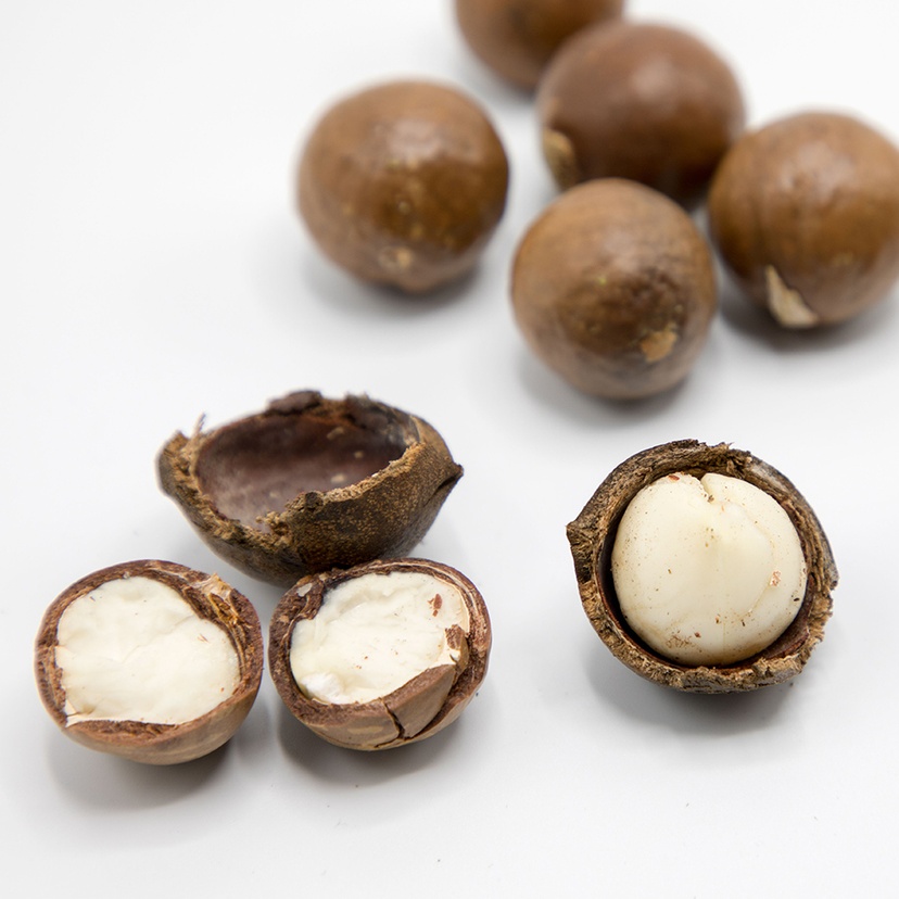 Raw macadamia nuts showing whole and open shells