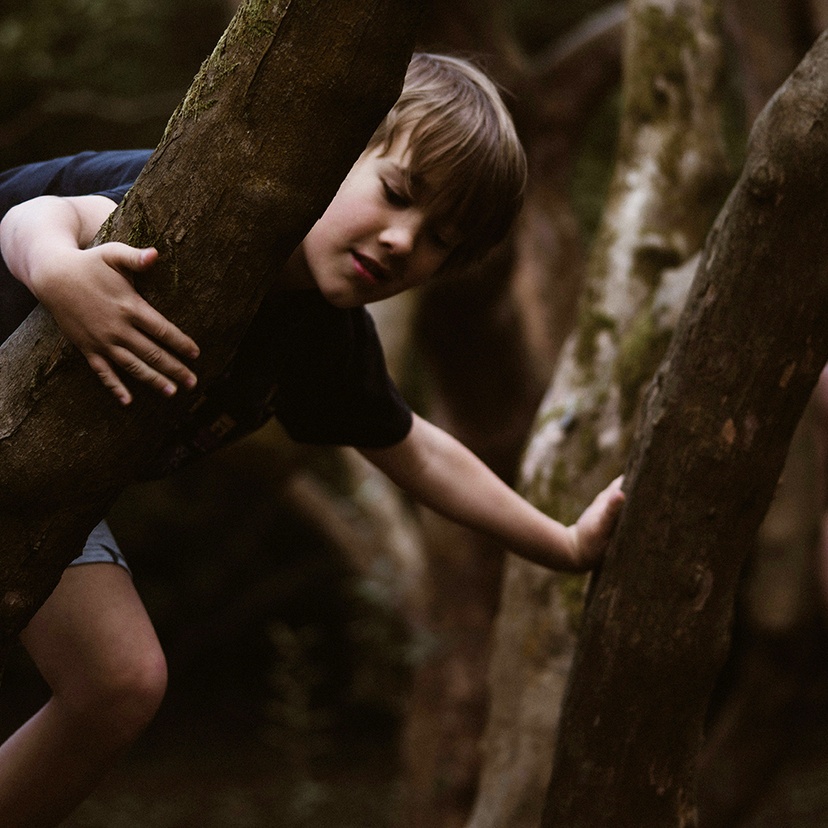 Boy and girl climbing up trees