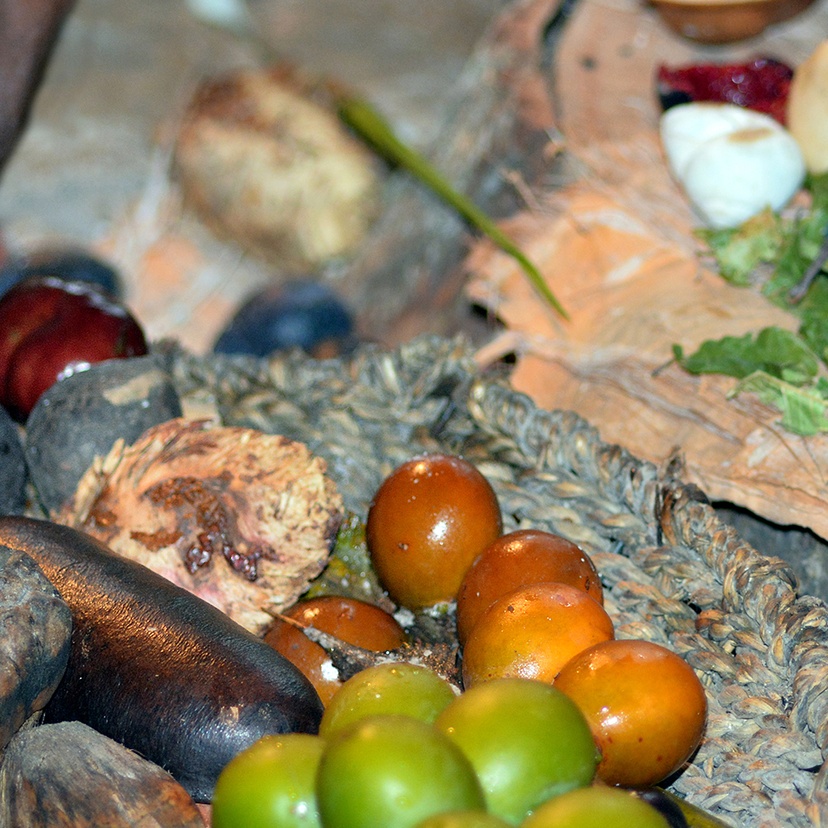 Aboriginal woman hand assorting fruit and seeds food
