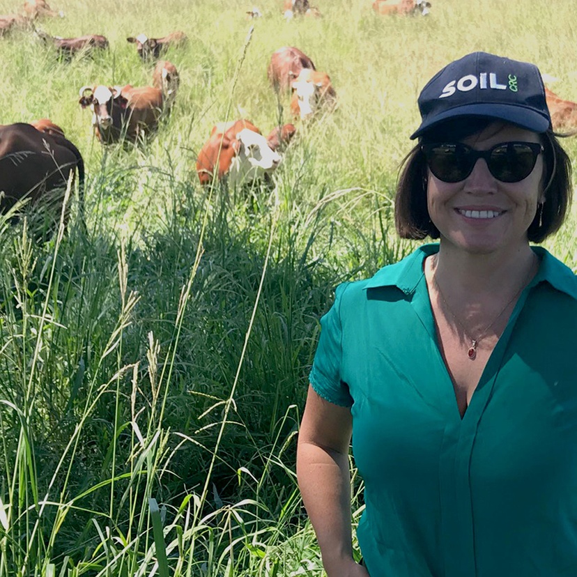 Hannabeth Luke in a field with cows