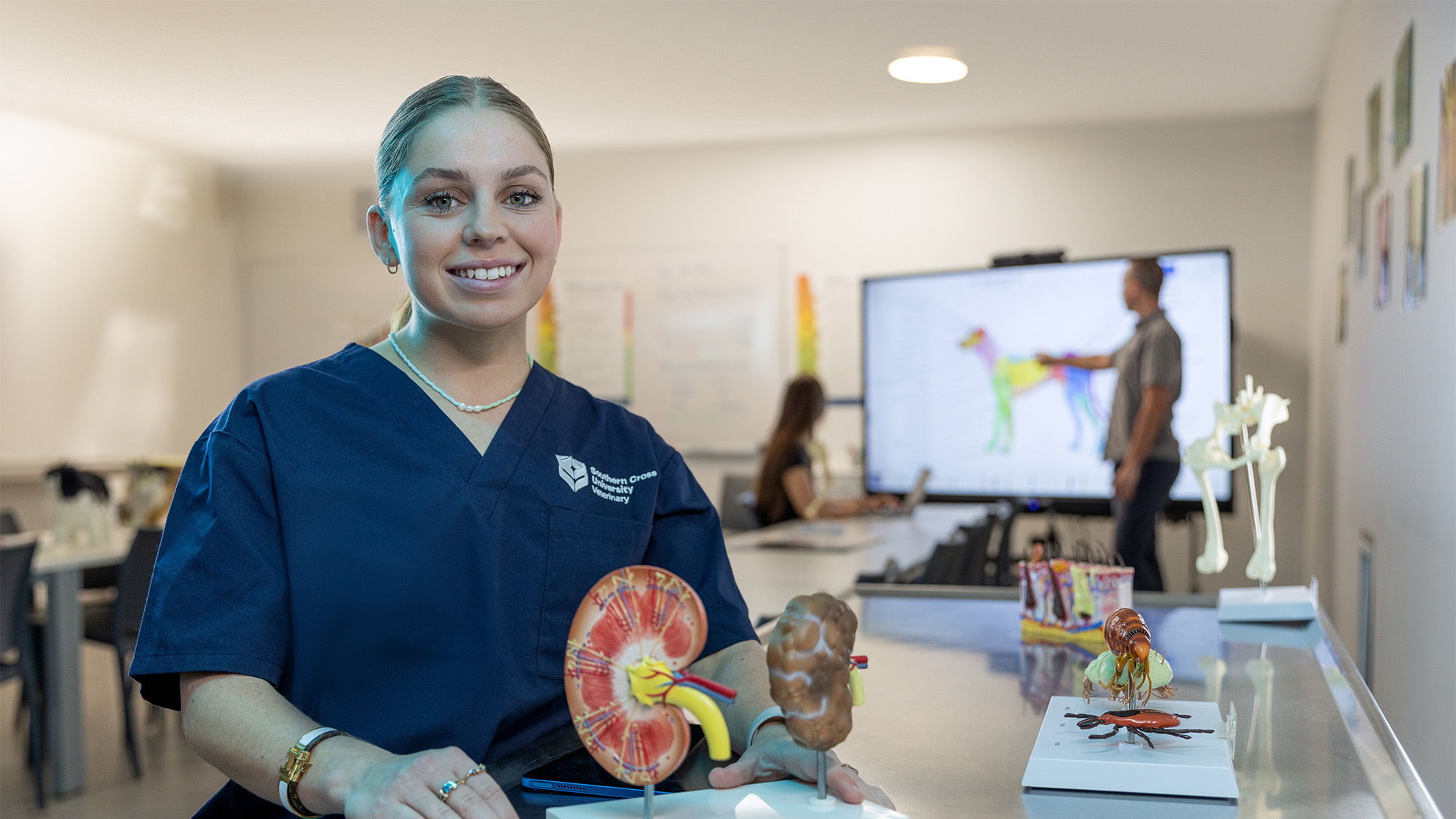 Student in vet clinic with model ear