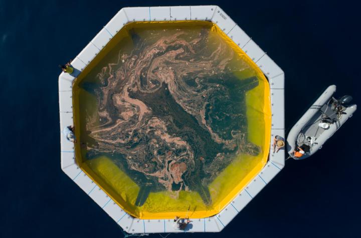 Pool structure in the ocean containing coral spawn