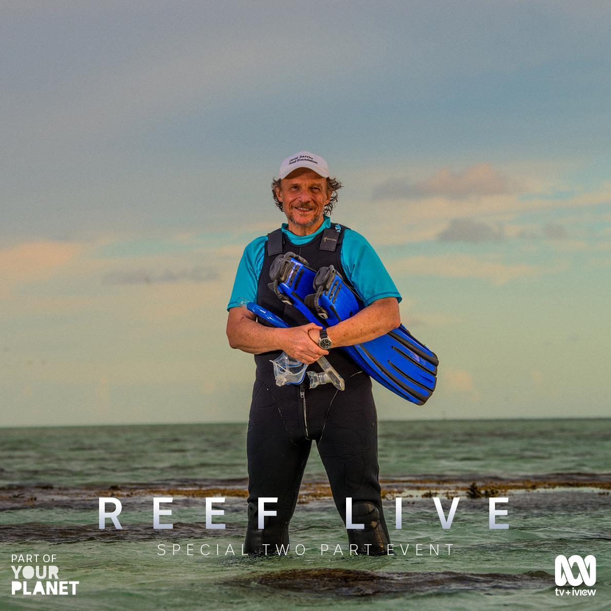 Man holding flippers by the edge of the ocean