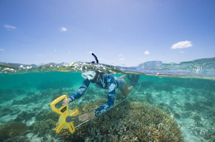 Events and News A snorkler with measuring instruments swims over a flat coral reef
