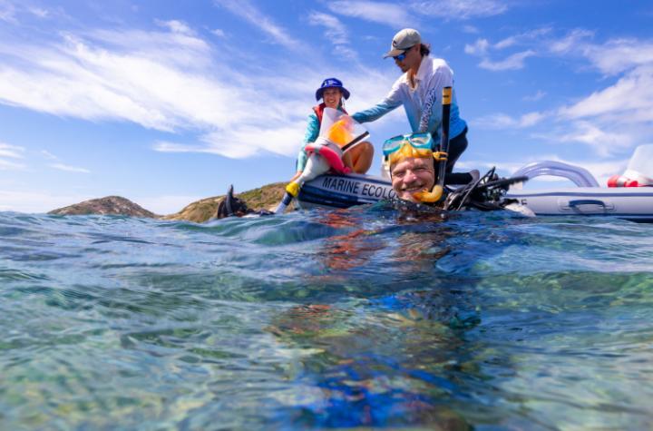 Divers and people in boats