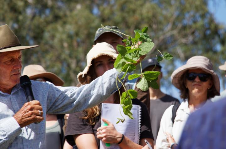 Man holds bunch of grass in his hand while students look on