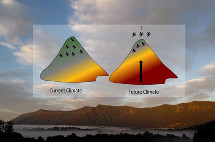 Events and News Mountain tops as islands in the sky concept