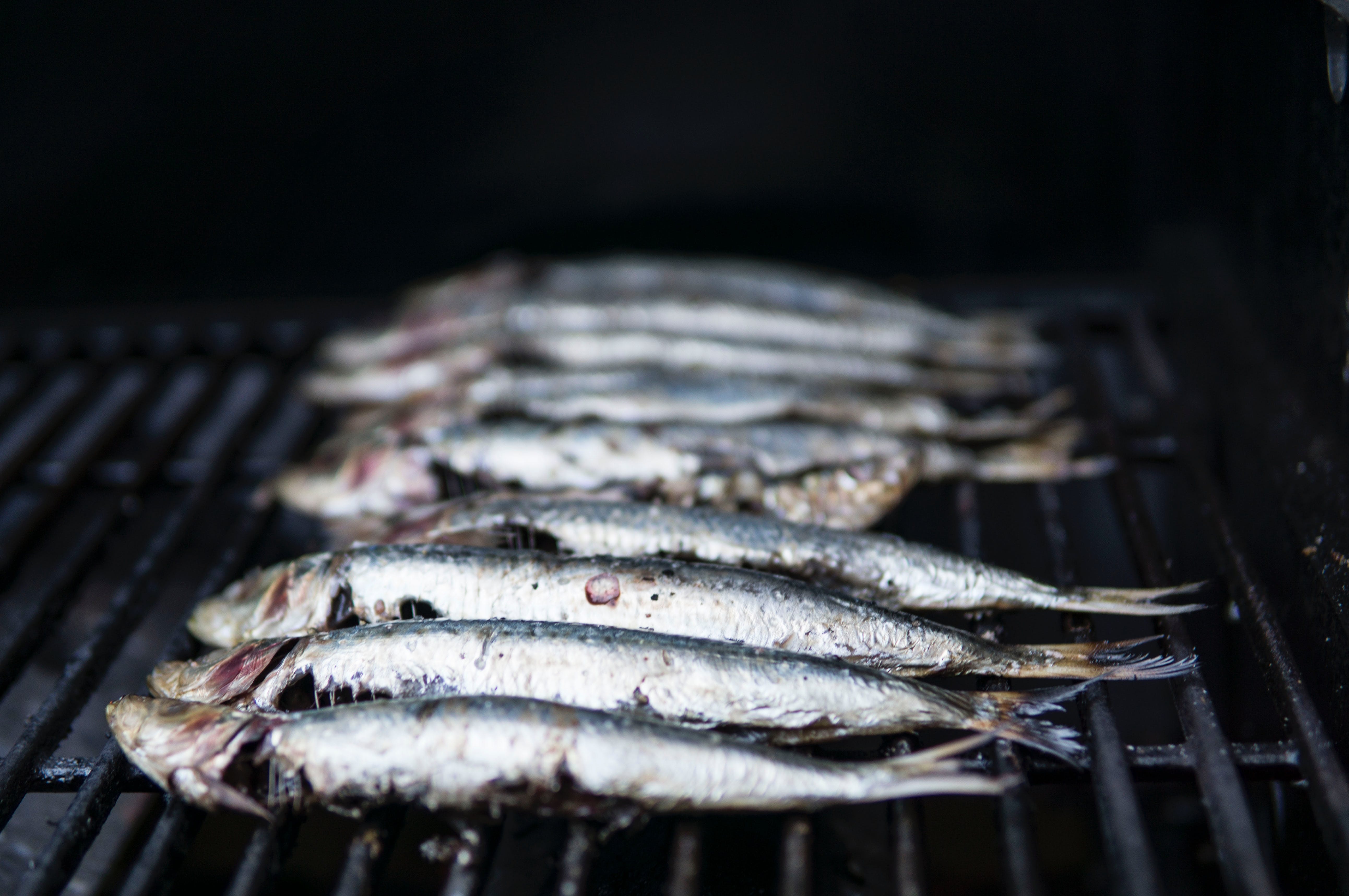 Picture of sardines by Elle Hughes - Pexel