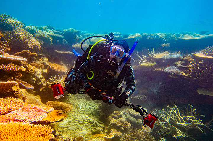 LIzard Island dive at North Point 20221218 A man scuba diving over a coral reef
