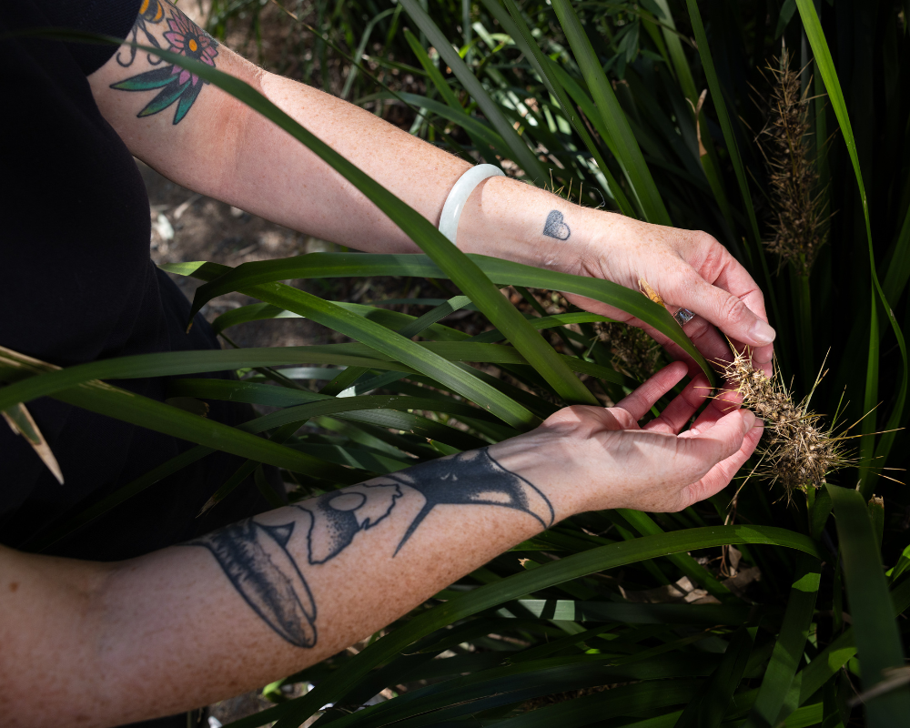 Bush medicine_Dr Alana Gall
