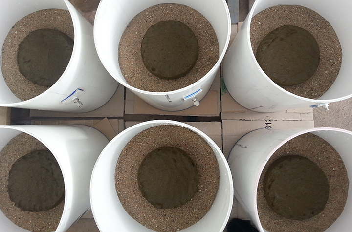 Dung beetle experimental chambers_credit Jean Holley low res.jpg six white plastic tubs containing cow manure pats