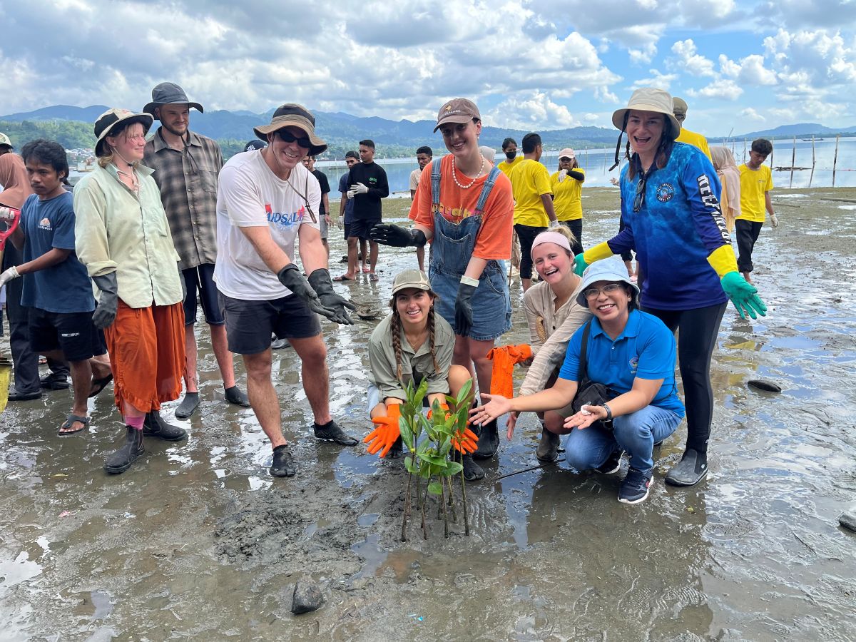 Group of people in small amount of water planting a mangrove