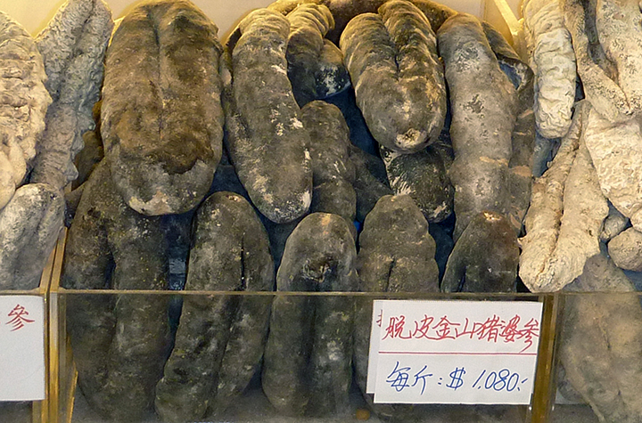 Holothuria whitmaei aka black teatfish on sale in Hong Kong credit S Purcell Dried sea cucumber for sale at an Asian food market stall