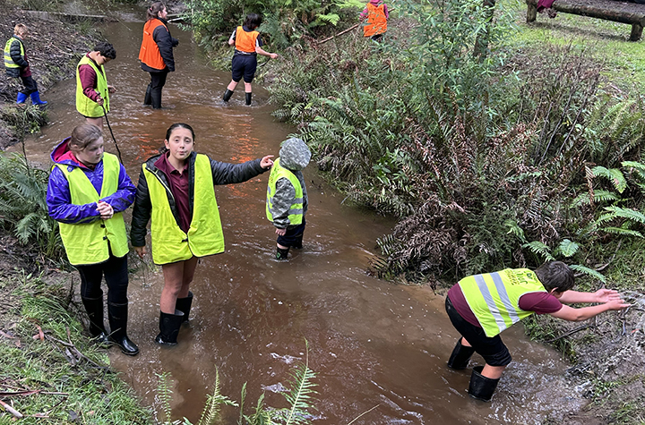 Nature School at Colac West Primary IMG_0798b 20260605 Students in a river