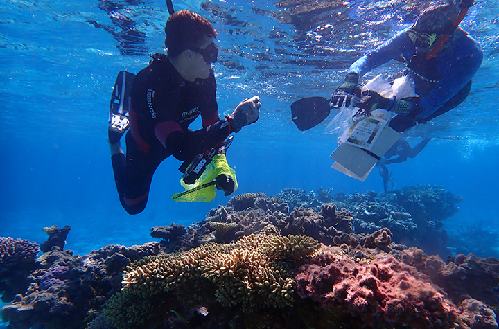 Two scuba divers over a coral reef with scientific instruments
