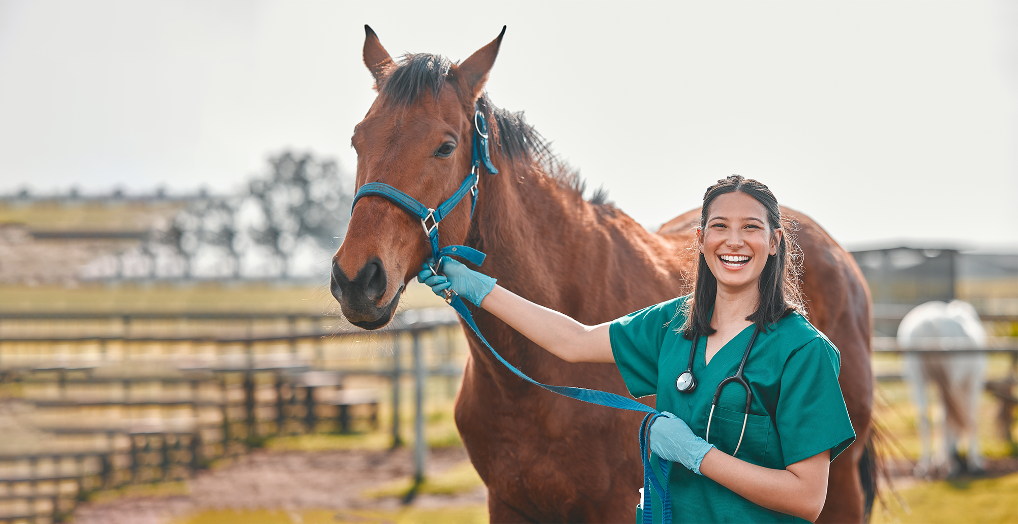 Woman in scrubs with horse