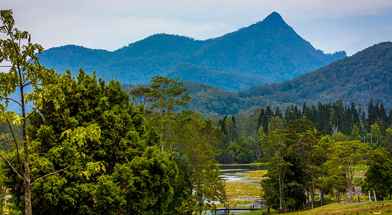 Mt Wollumbin