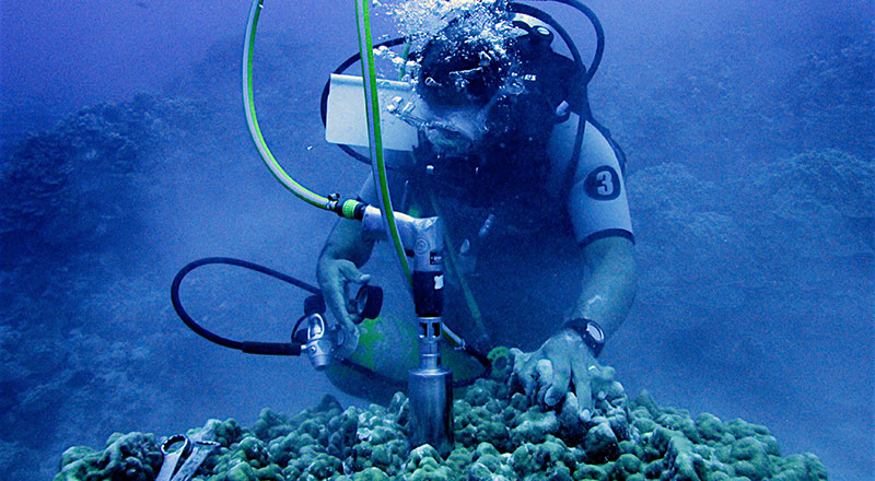 Associate Professor Dirk Erler coral research