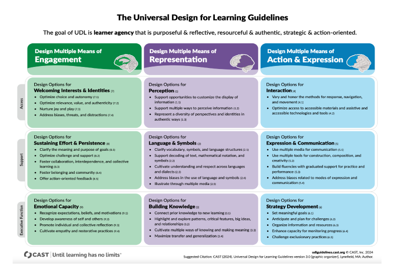 Thumbnail for Universal Design for Learning Guidelines link