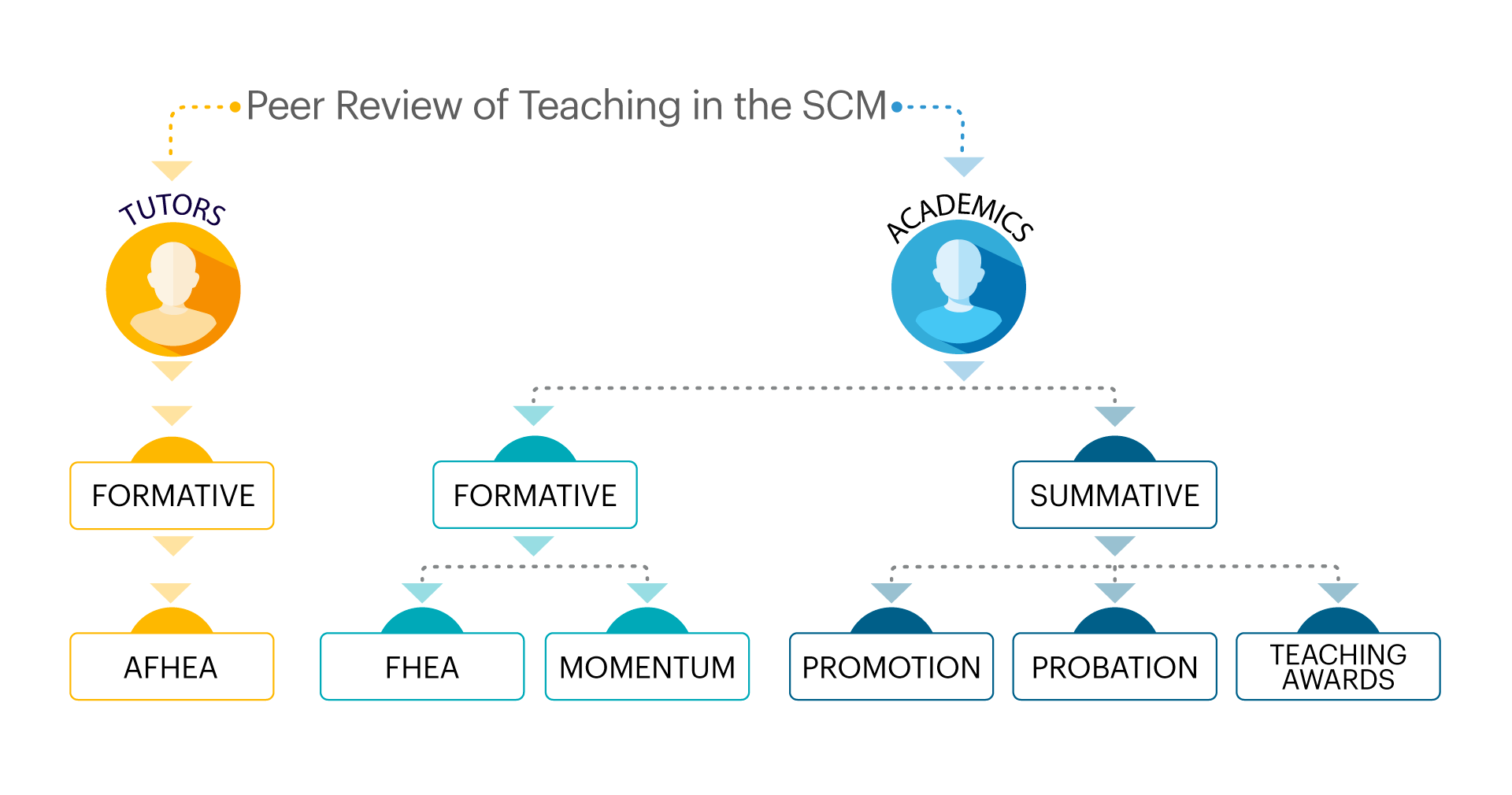 The Overview of Peer Review of Teaching in Southern Cross Model